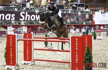 19-&aring;rig debuterede 8 &aring;rs hest i 150 cm