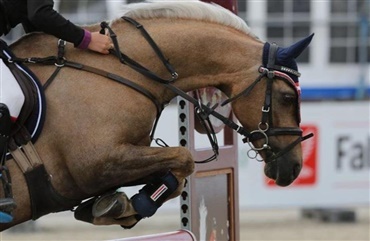 Talentudvikling i distriktet