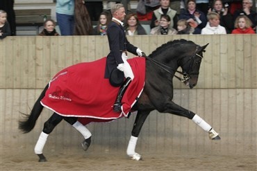 Sk&oslash;n dag til Hingsteshow Sj&aelig;lland