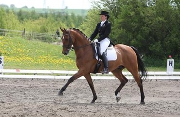 2. plads til Seierskilde