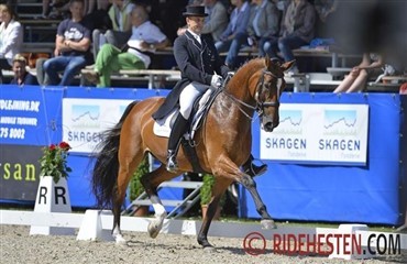 Petersen jagter pigerne