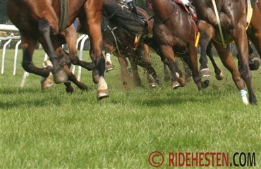 Grand National steeplechase 2013 - Video