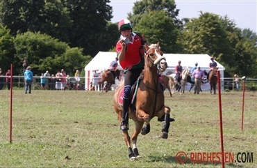 Nordic Team Championship (Video)