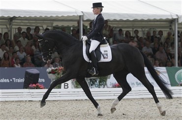 Silberaster sadles om