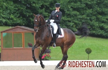 Cavaler til Kristine Koch Bejtrup