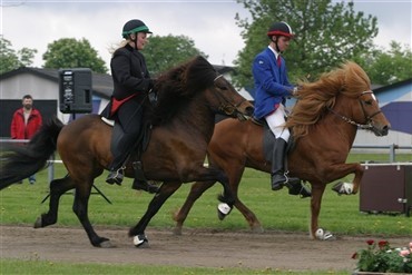 Landets bedste islandske heste til DM p&aring; Djursland 