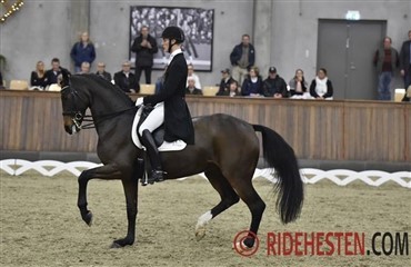 Ryttere til internationale st&aelig;vner