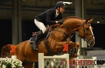 Danskere ved Baltic Horse Show i Kiel