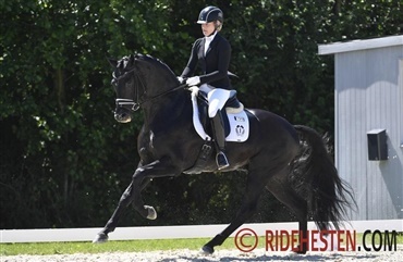 &Aring;rets f&oslash;rste championatskvalifikation i dressur 