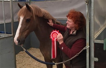 Margit masserer til mesterskaberne (VIDEO)