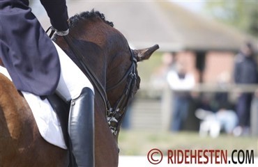 Studie i rytterens opstilling