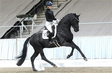 Grey Tonic suver&aelig;n ved 2-dages pr&oslash;ve