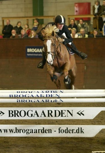 Holte Rideklubs landsst&aelig;vner