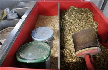 Glutenallergi - ogs&aring; hos heste