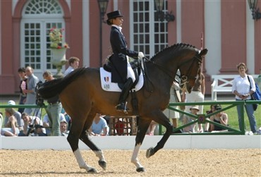 Fransk Dressurmester 2007