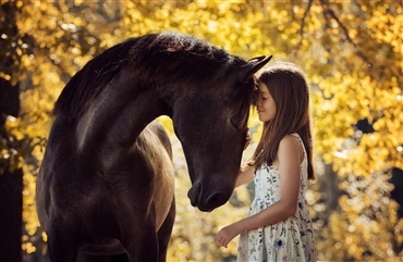 Heste kan hj&aelig;lpe unge med at forst&aring; sig selv