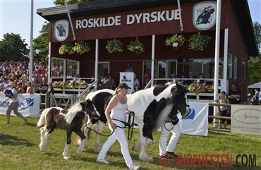 Skal du deltage p&aring; Roskilde Dyrskue i &aring;r?