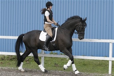 Ny paralympisk hjemmeside 