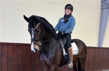 Miss Malfoy i stalden hos Willum Thomsen