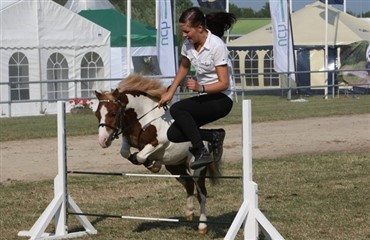 Billedkavalkade fra Landsskuet 2010