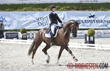 Dansk sejr ved Stockholm Horse Week