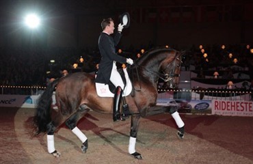Endnu et hingsteshow i Vechta