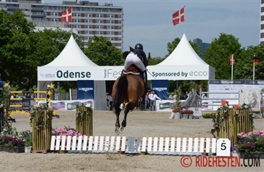 Odense Horse Festival var fantastisk! (Video)