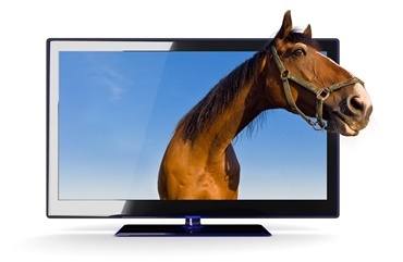 S&aring;dan vises OL-ridning p&aring; TV2
