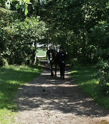 Ny folder om ridning i naturen