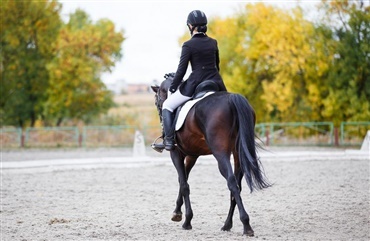Husk at tr&aelig;ne bagsiden af kroppen