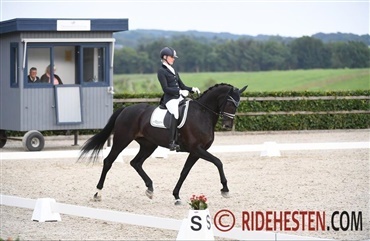 Dygtige danskere til Falsterbro Horse Show