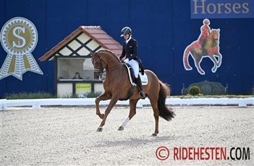 D'avie i Grand Prix sejr