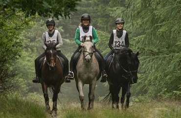 Rekordstort antal starter til &aring;rets Rom Ridt