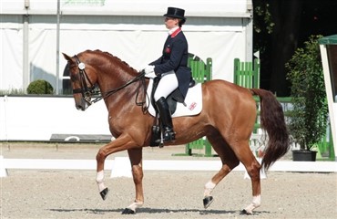 Engelsk dominans i Biarritz