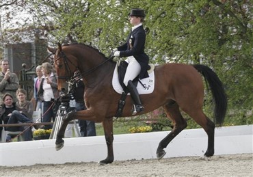 Isabell Werths nye Grand Prix hest