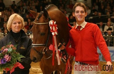 Connery er &aring;rets trakehnerhingst