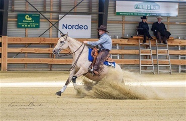 &Aring;rets mestre i westernridning