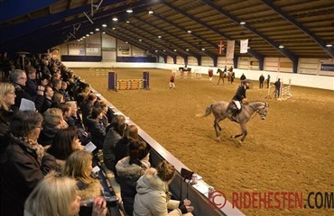 Hingsteshow Nord fejrede s&oslash;lvbryllup