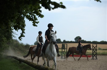 Gebyrer i ridesporten skaber debat
