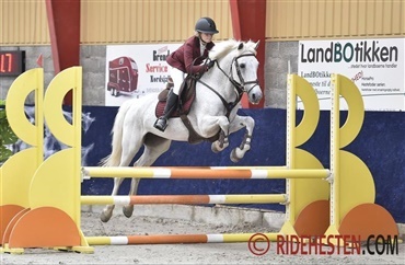 Mustang Cup finale i weekenden