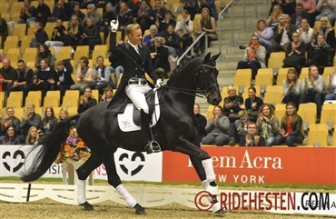 Hotline melder fra til Odense Horse Shows