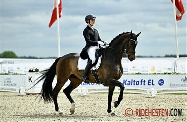 Internationale starter - uge 26