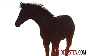 Hvor kommer f&oslash;llene fra?