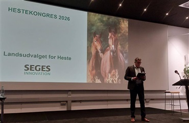 Hestefolk samles til hestekongressen 2026 (video)