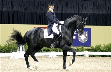 Afsked med hingsten Gribaldi