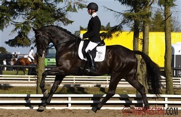 10-tal til Zick Flower