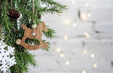 St&oslash;t din lokale rideklub, n&aring;r du k&oslash;ber juletr&aelig;