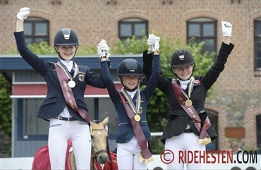 Tysk dominans og dansk bronze