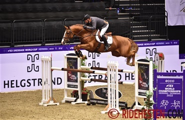 Dansk Varmblodshingst placeret i 145 cm rankingklasse (video)