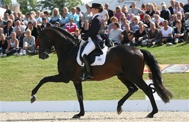 Danskere til Kentucky Cup CDI*** 